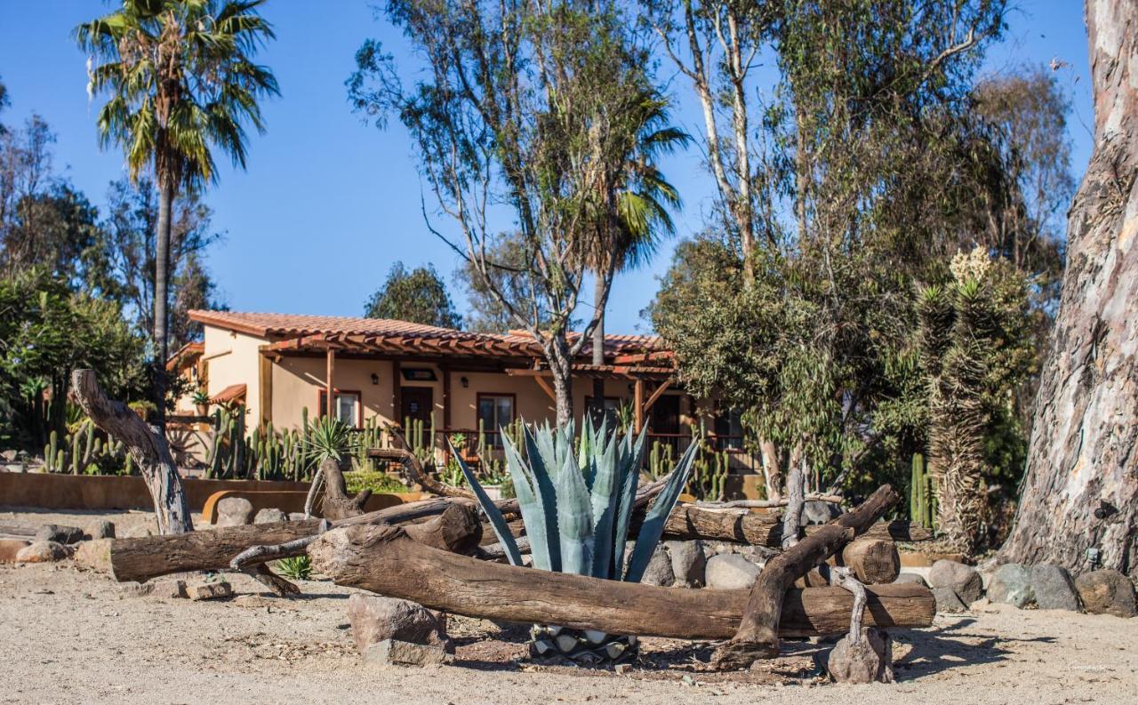 Santa Magdala Hotel Boutique Ensenada Exterior photo